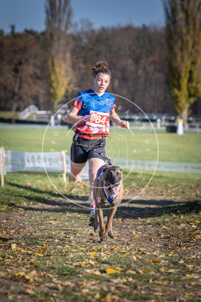 CaniXpix_DV3A9124 | Hundefotografie, Tierfotograf, Pfotenfotografie, Fotoshooting Hund, Hunde Portrait, Hundesport, Hundeportraits, Heideshooting, Hunde, Sportfotograf, Hundefotograf, Turnierhundsport, THS,  - Realisiert mit Pictrs.com