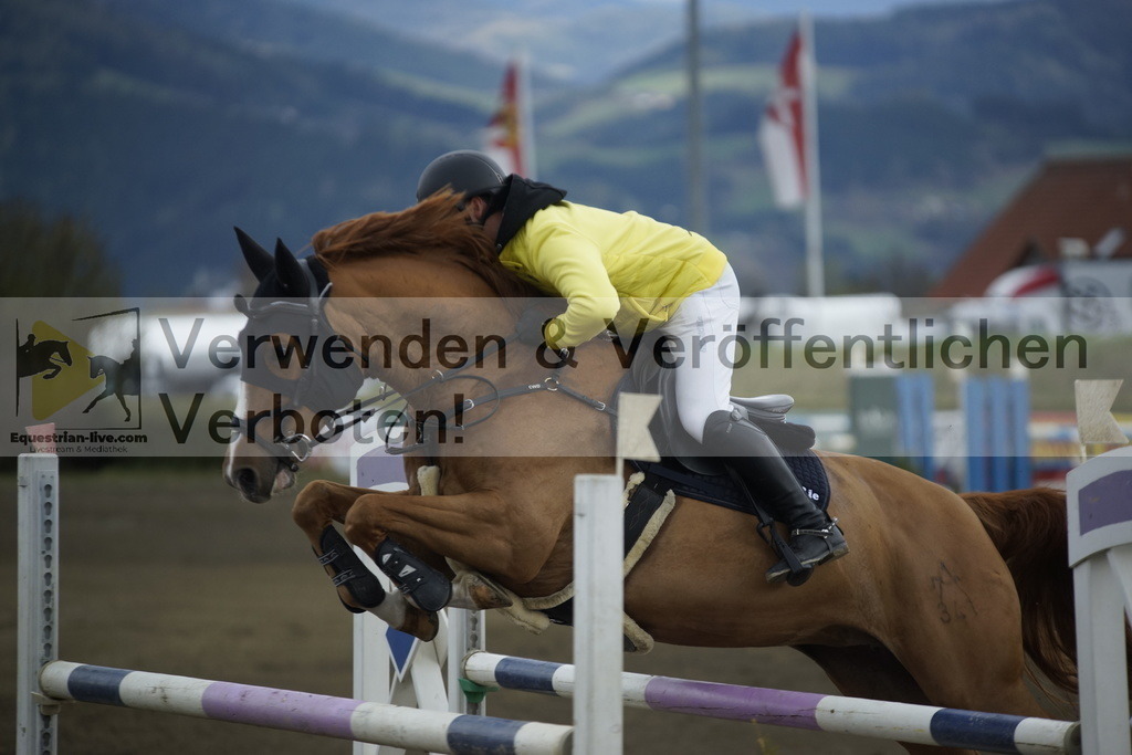 _DSC8042 | equestrian-live-com