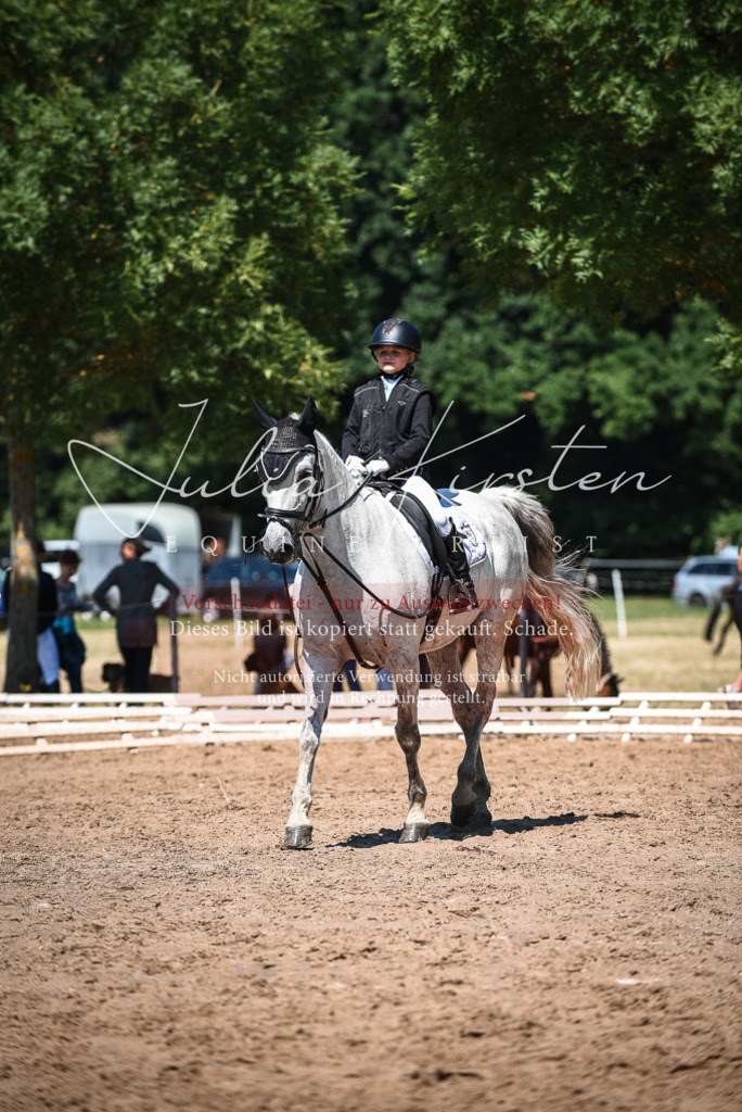 DSC_3115 | Pferde- und Turnierfotografie in Westsachsen. Pferdeportraits, Auftragszeichnungen und intuitive Kunst.