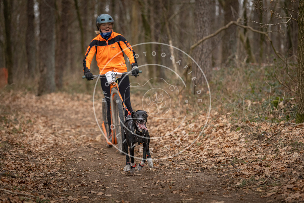 Pfotenfotografie_DV3A7618 | Hundefotografie, Tierfotograf, Pfotenfotografie, Fotoshooting Hund, Hunde Portrait, Hundesport, Hundeportraits, Heideshooting, Hunde, Sportfotograf, Hundefotograf, Turnierhundsport, THS,  - Realisiert mit Pictrs.com