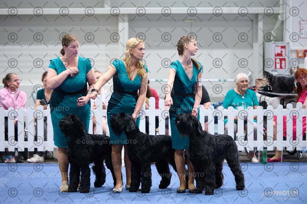 202406_ÖKV-IHA-Tulln24_DSC_2823 | proPHOTO - Realisiert mit Pictrs.com