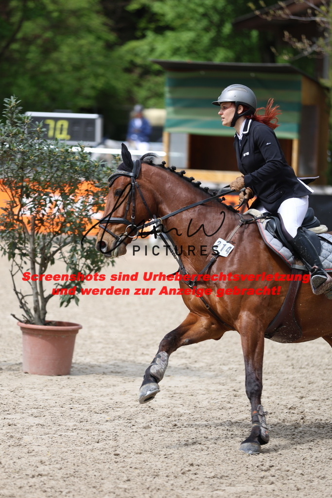 A40A1874 | lmwpictures - Realisiert mit Pictrs.com