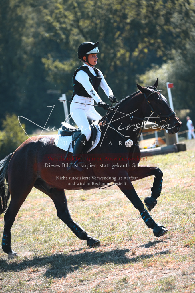 DSC_8219 | Pferde- und Turnierfotografie in Westsachsen. Pferdeportraits, Auftragszeichnungen und intuitive Kunst.