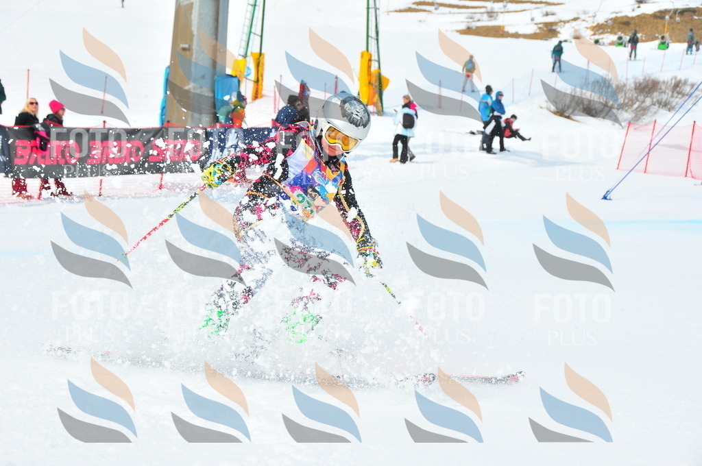 DSC_2524 | holidayphoto