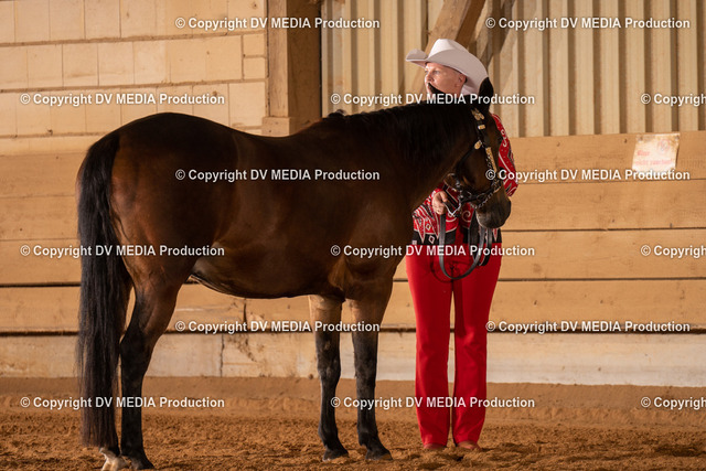 NID00099 | dv-media-shop - Realized with Pictrs.com