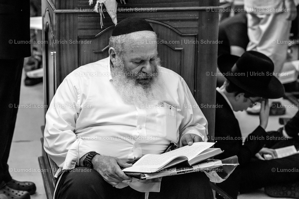 202510-168 | Stockfoto und Bilderpool mit Bildmaterial aus Deutschland, dem Harz, Halberstadt, Quedlinburg, Wernigerode und weltweit. Qualitativ hochwertige und professionelle Fotos anschauen und kaufen. - Realisiert mit Pictrs.com