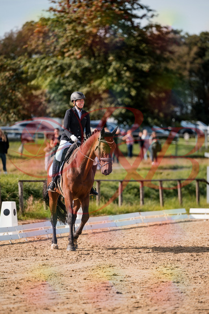 2026_10_03_Siefer-Hof_122909_Z63_50217277 | Professionelle Reitsport-, Turnier- und Eventfotografie von Robert Broda. Galerien mit ausgewählten und bearbeiteten Bildern direkt online ansehen und bestellen.