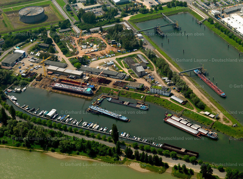 2739674 | Speyer060607 355