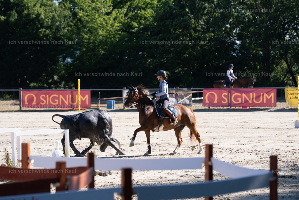 WL_SP_89_SinaFilmArt_IN05725 | working equitationturnier fotograf videograf stoibphotography marixx film working equitation deutschland reitsport turnierfotografie eventfotografie equestrian events