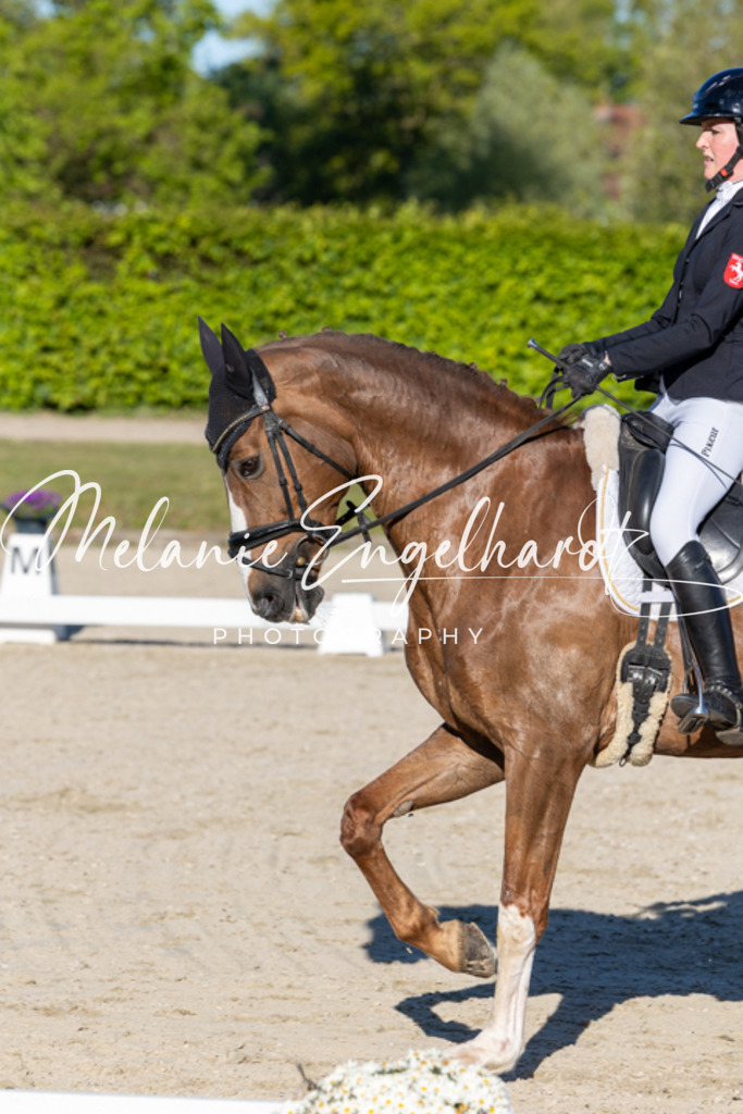 7I8A8554 | melanie-engelhardt-photography - Realisiert mit Pictrs.com