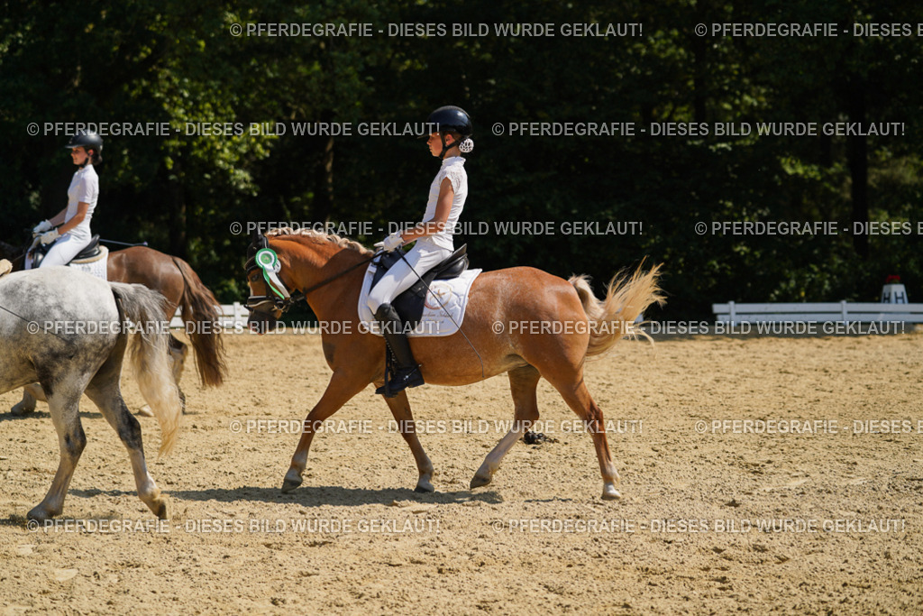 DSC05963 | Pferdegrafie