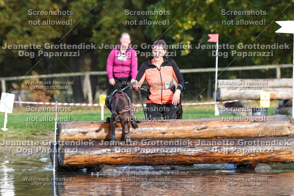 Dog Paparazzi - Strongdog 10-25-7055 | Dog Paparazzi Jeanette Grottendiek Fotografie & Videografie - Realisiert mit Pictrs.com