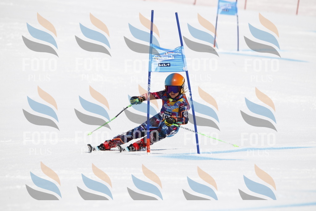 _U3G5083 | holidayphoto