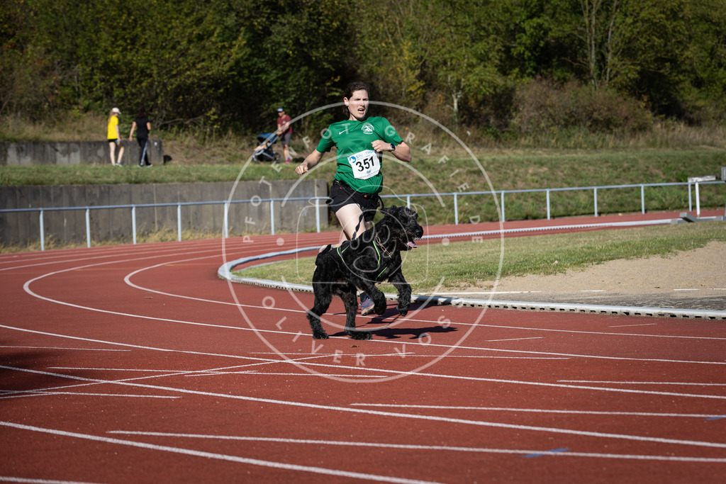 Pfotenfotografie_DV3A9260 | Hundefotografie, Tierfotograf, Pfotenfotografie, Fotoshooting Hund, Hunde Portrait, Hundesport, Hundeportraits, Heideshooting, Hunde, Sportfotograf, Hundefotograf, Turnierhundsport, THS,  - Realisiert mit Pictrs.com