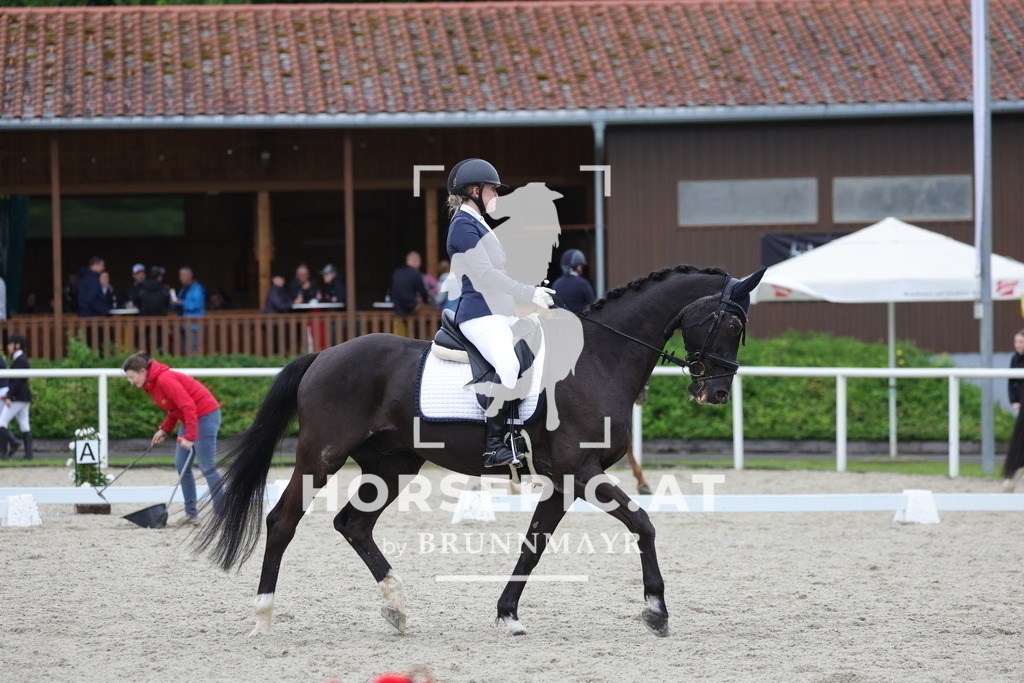 0P6A4304 | Willkommen bei Brunnmayr - Design & Fotografie – Ihrem Spezialisten für Reitturniere und Pferdeveranstaltungen in Oberösterreich, Salzburg und Bayern! Seit über 17 Jahren sind wir leidenschaftlich dabei.