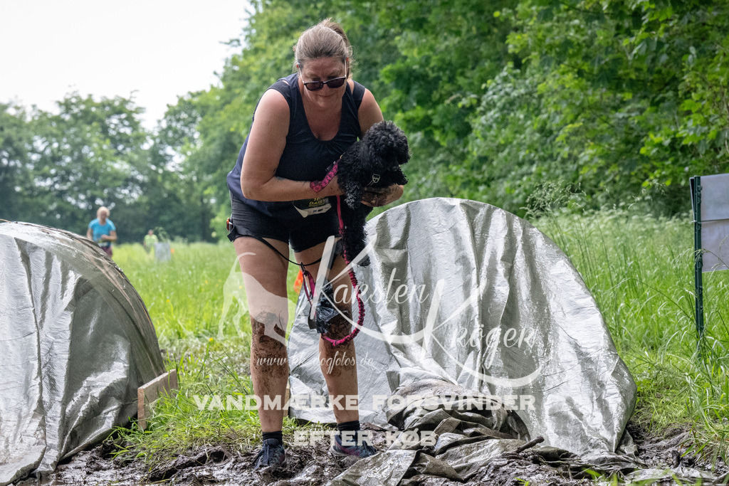 1109_ZZ91645 | kk-dogfotos