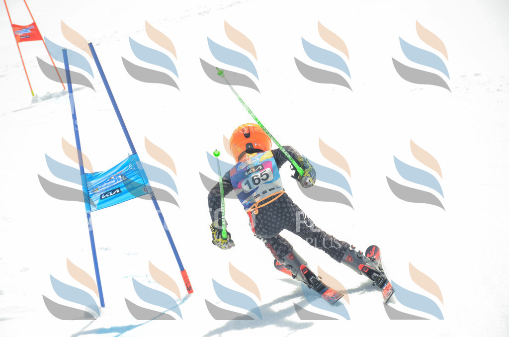 _ELE6491 | holidayphoto