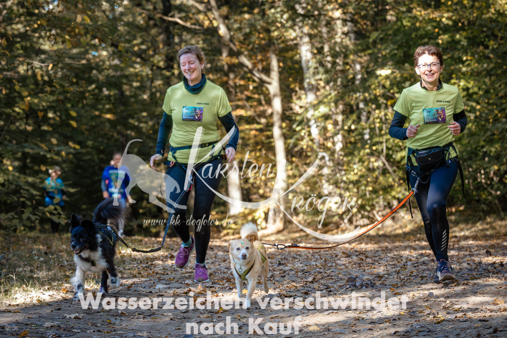 1205_ZZ94148 | kk-dogfotos