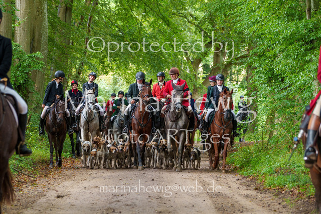 Jagd Perdoel 26 Sony-03888_MarinaHewig | Fotografie, FotoArt, PferdesportArt, Pferdesportfotografie, Landschaftsfotografie, Reisefotografie, Reise, Pferde - Realisiert mit Pictrs.com