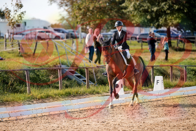 2026_10_03_Siefer-Hof_131713_Z63_78870143 | Professionelle Reitsport-, Turnier- und Eventfotografie von Robert Broda. Galerien mit ausgewählten und bearbeiteten Bildern direkt online ansehen und bestellen.