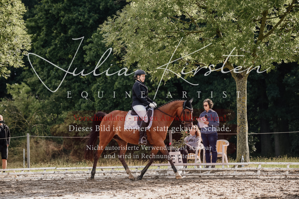 DSC_9050 | Pferde- und Turnierfotografie in Westsachsen. Pferdeportraits, Auftragszeichnungen und intuitive Kunst.