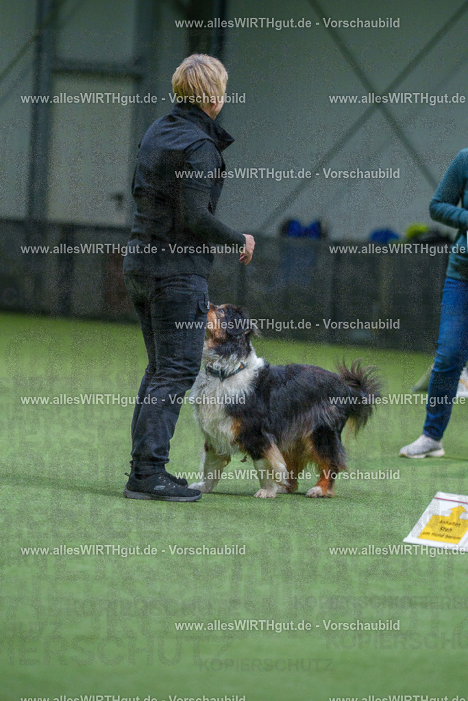 7R506102 | Professionelle Tierfotografie in Mönchengladbach von Daniel Wirth (allesWIRTHgut). Liebevolle & natürliche Bilder von Hunden & Katzen für unvergessliche Erinnerungen.