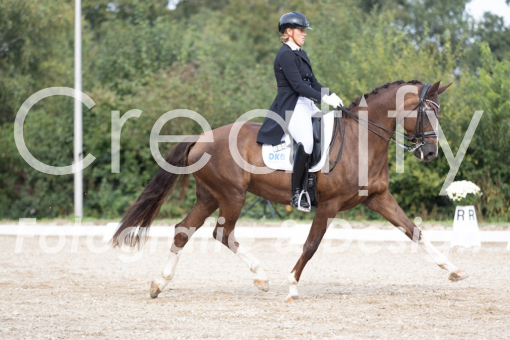 IMG_4643 | Creatify Fotografie