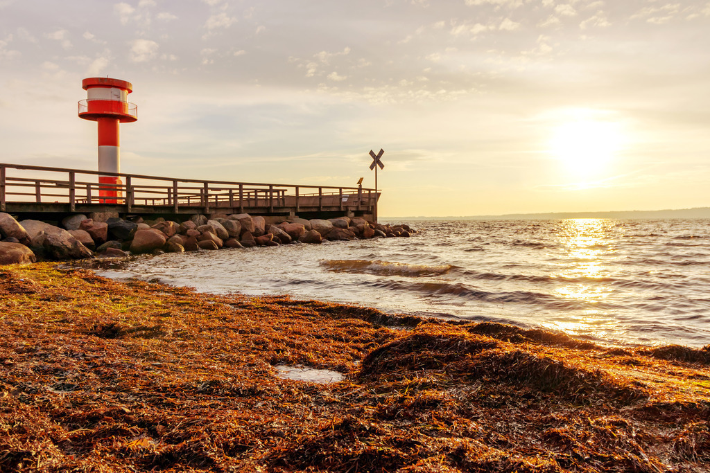 Wandbild: Leuchtturm im Licht der aufgehenden Sonne | Dieses Wandbild im Querformat zeigt einen schönen Sonnenaufgang am Meer. Auf der linken Seite befindet sich ein rot-weißer Leuchtturm. Am Strand liegt Seetang, der von der aufgehenden Sonne angeleuchtet wird.  - Realisiert mit Pictrs.com