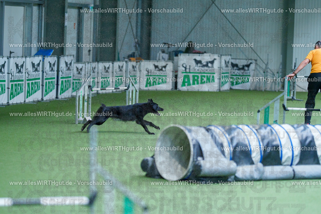 @allesWIRTHgut_Tierfotografie - www.allesWIRTHgut.de - 2604261406-7R503429 | Professionelle Tierfotografie in Mönchengladbach von Daniel Wirth (allesWIRTHgut). Liebevolle & natürliche Bilder von Hunden & Katzen für unvergessliche Erinnerungen.