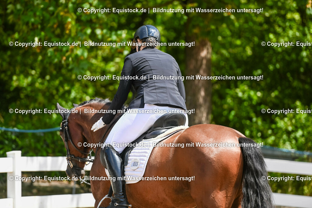 20230716_03_Dressurprfg. Kl.L - Tr._0133 | equistock