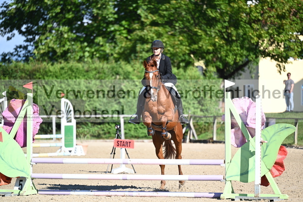 DSC_7885 | equestrian-live-com