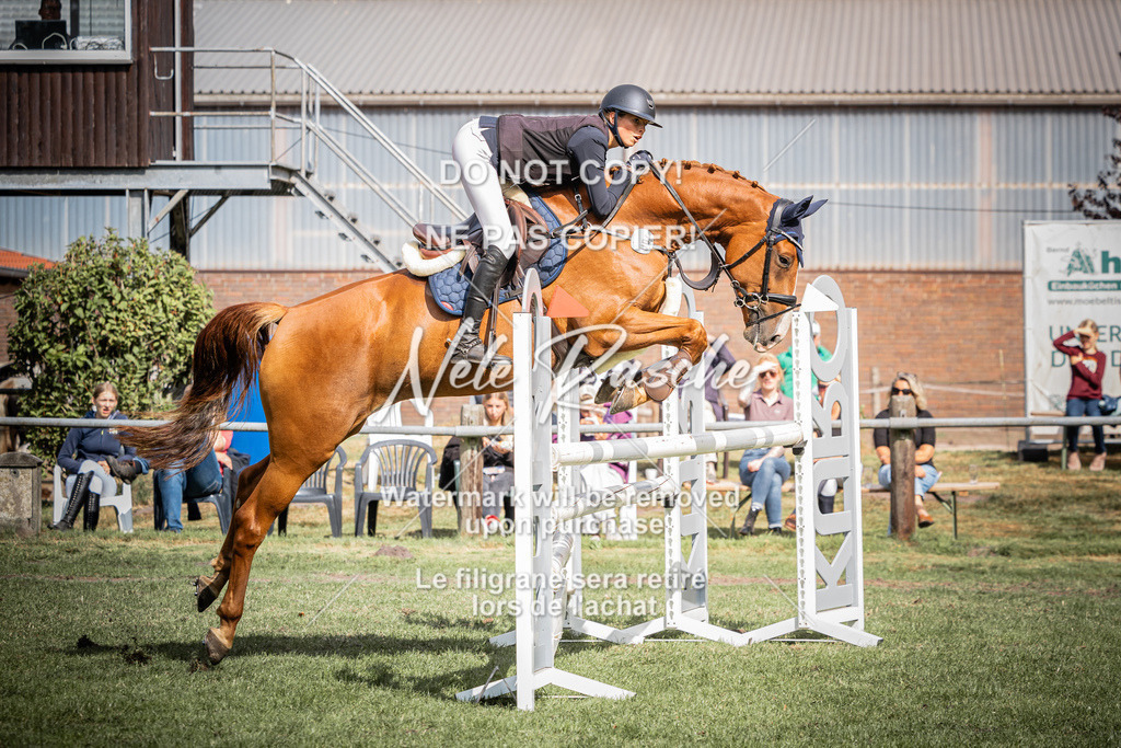 nelerasche_SprL__110Ede_07 | nelerasche