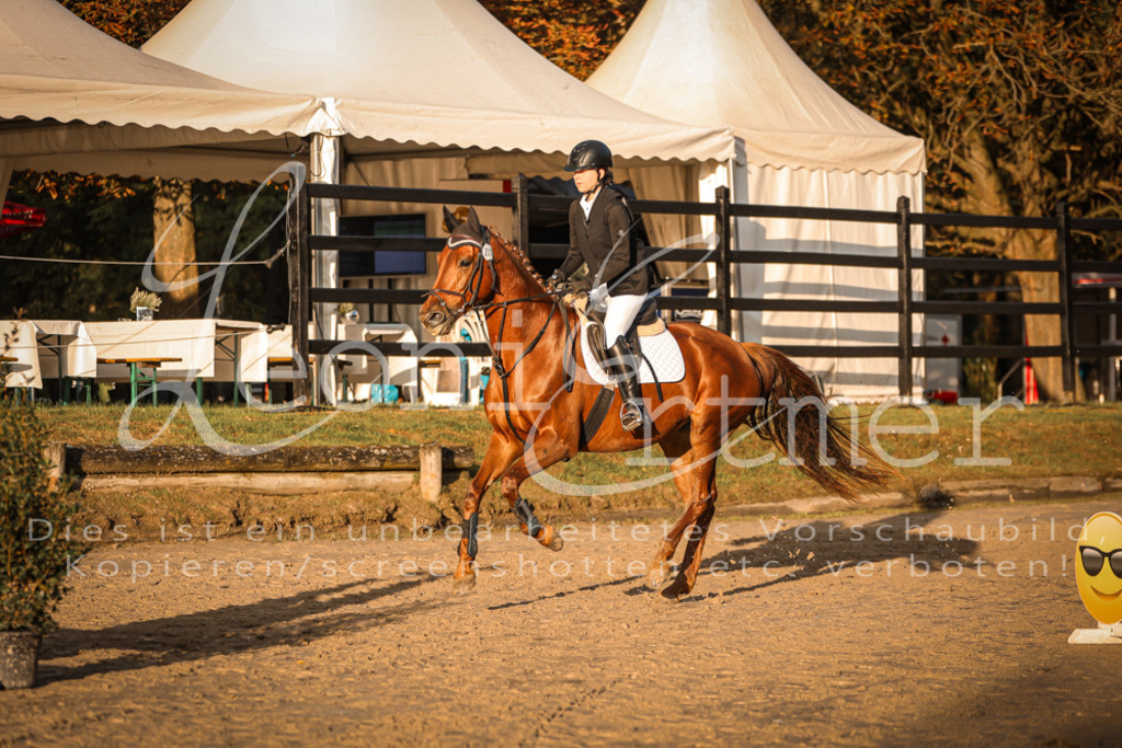 10.SaSpE00102 | Leoni Ertmer Photography - Realisiert mit Pictrs.com