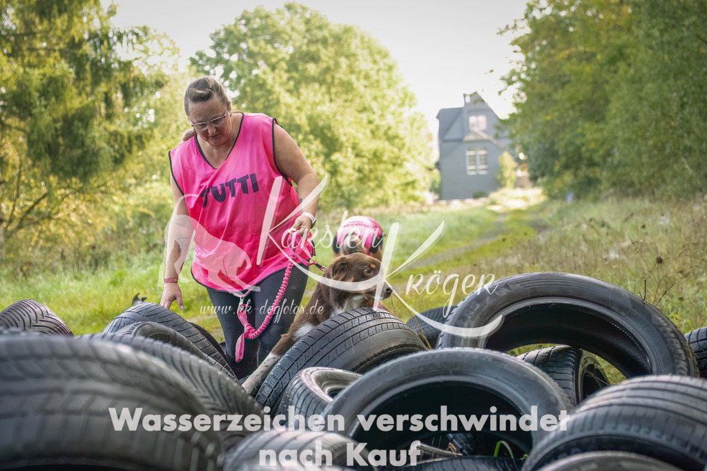 1033_ZZ94769-Bearbeitet | kk-dogfotos
