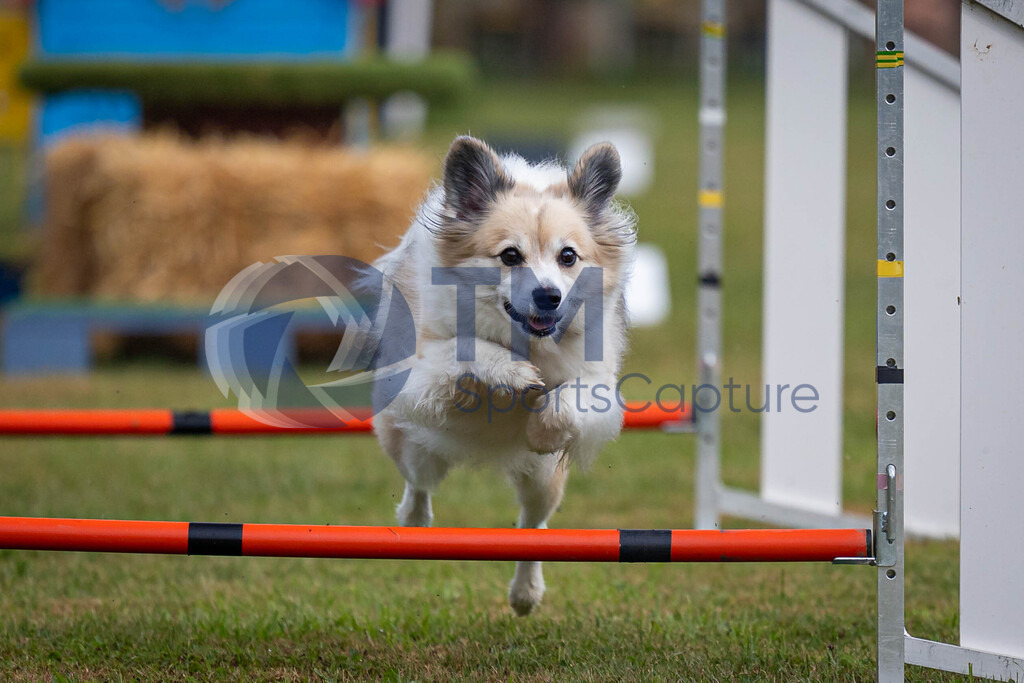 TP-20240815-0009 | Copyright: Trainproduction / Matthias Trinkl