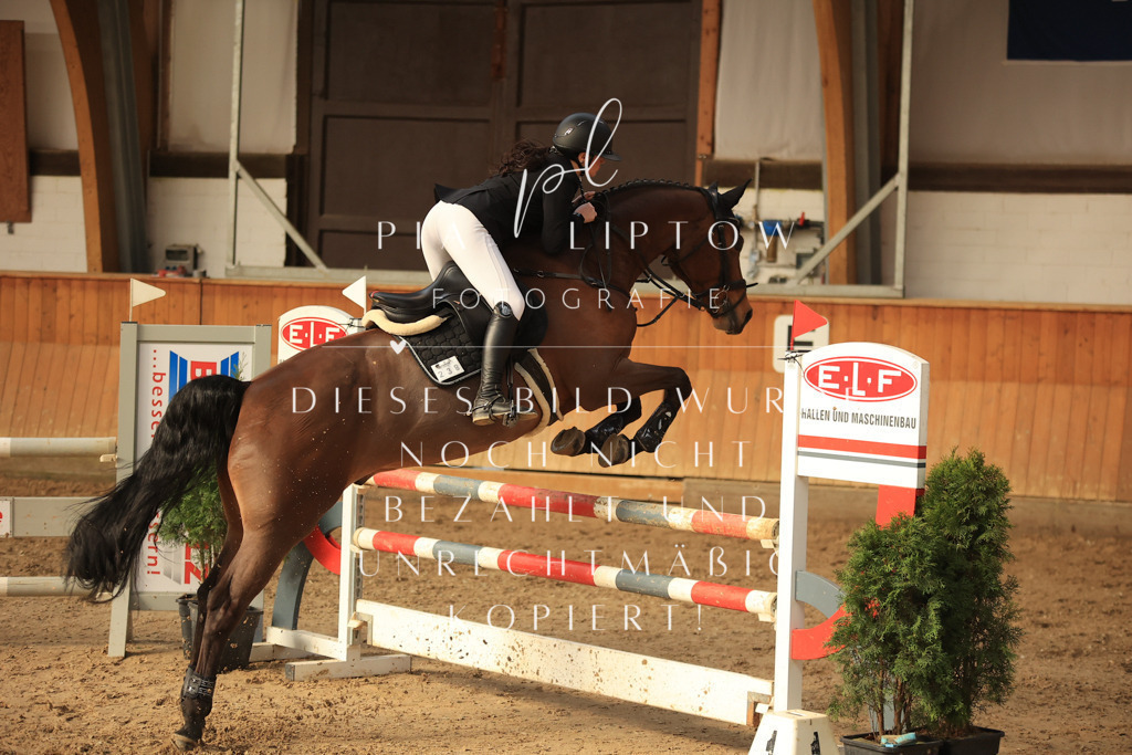 IMGT6341 | pl-fotografie