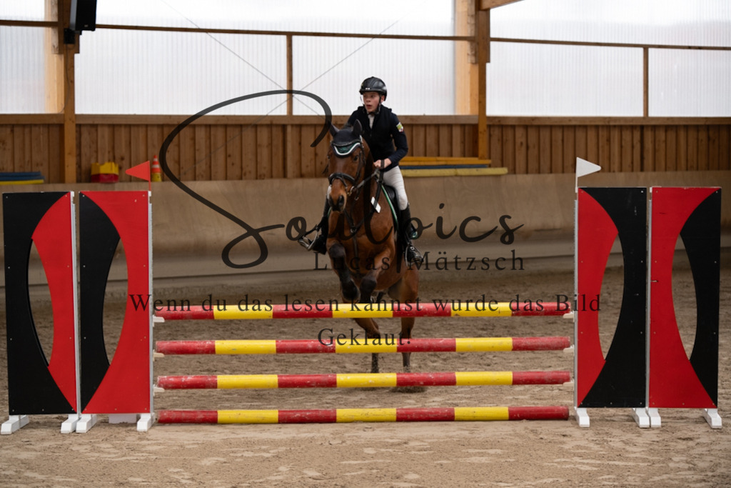 A7V00368 | Pferdefotograf