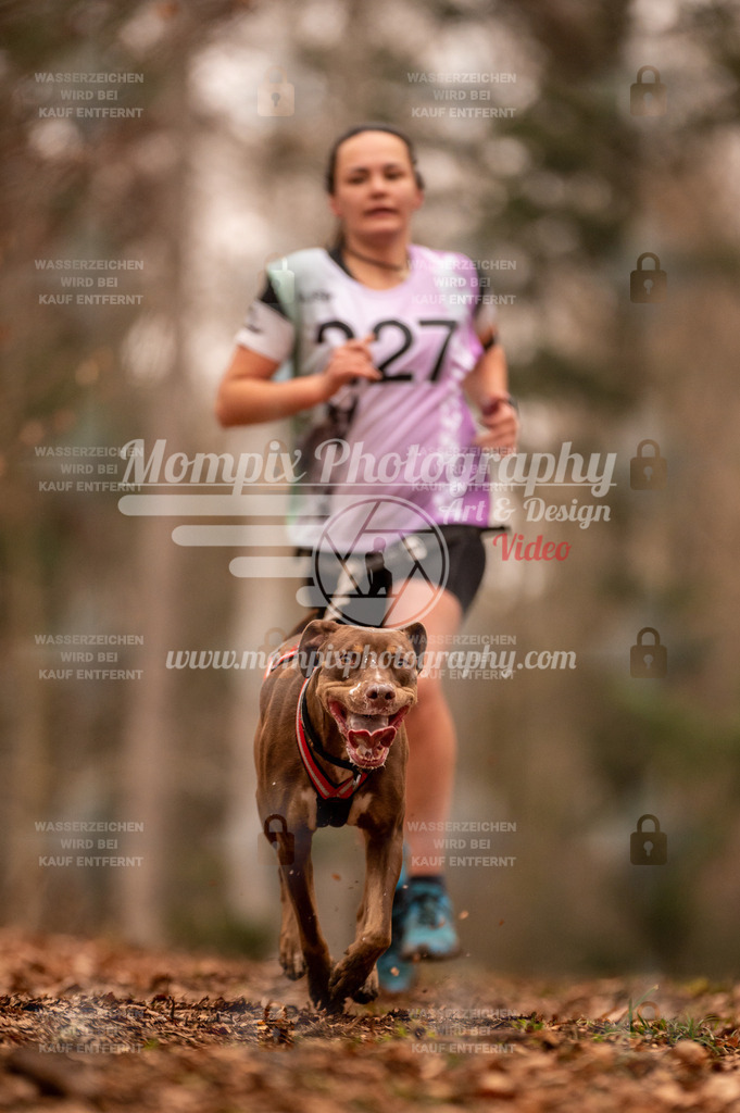 AKM_ST_2023_SAM_Run-60 | PayLife