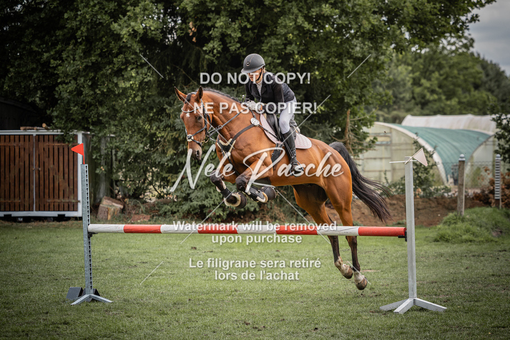 nelerasche_KlDerbyEde_49 | nelerasche