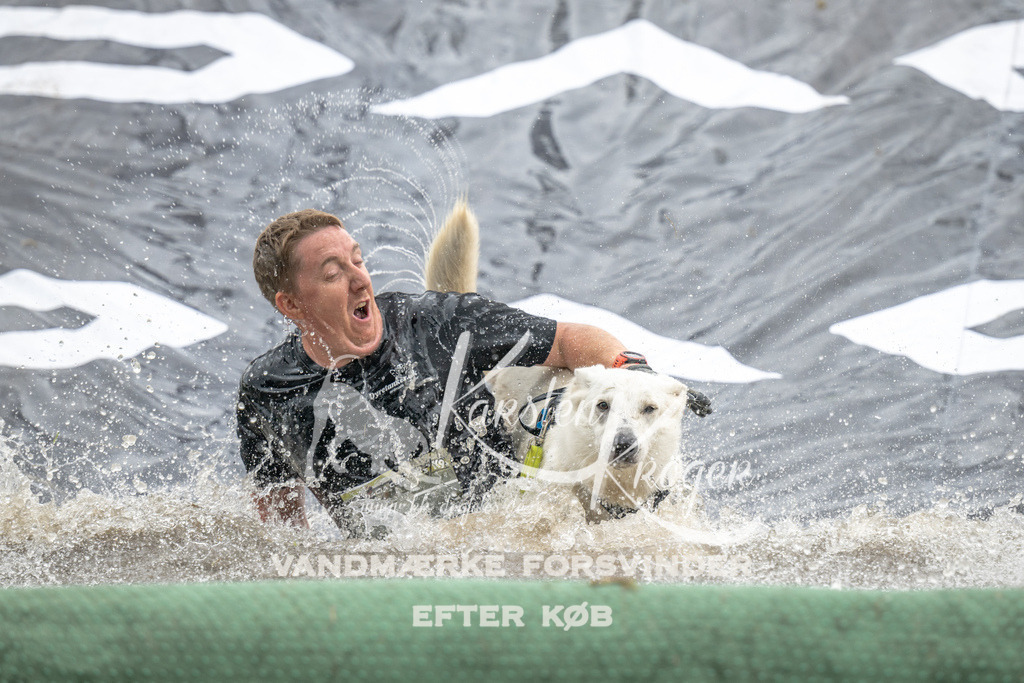 1409_ZZ94577 | kk-dogfotos