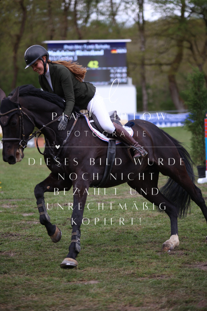 IMGT1797 | pl-fotografie