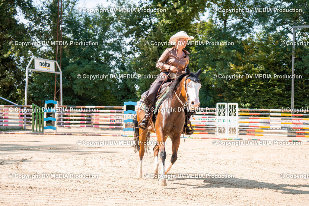 ZH100682 | dv-media-shop - Realisiert mit Pictrs.com