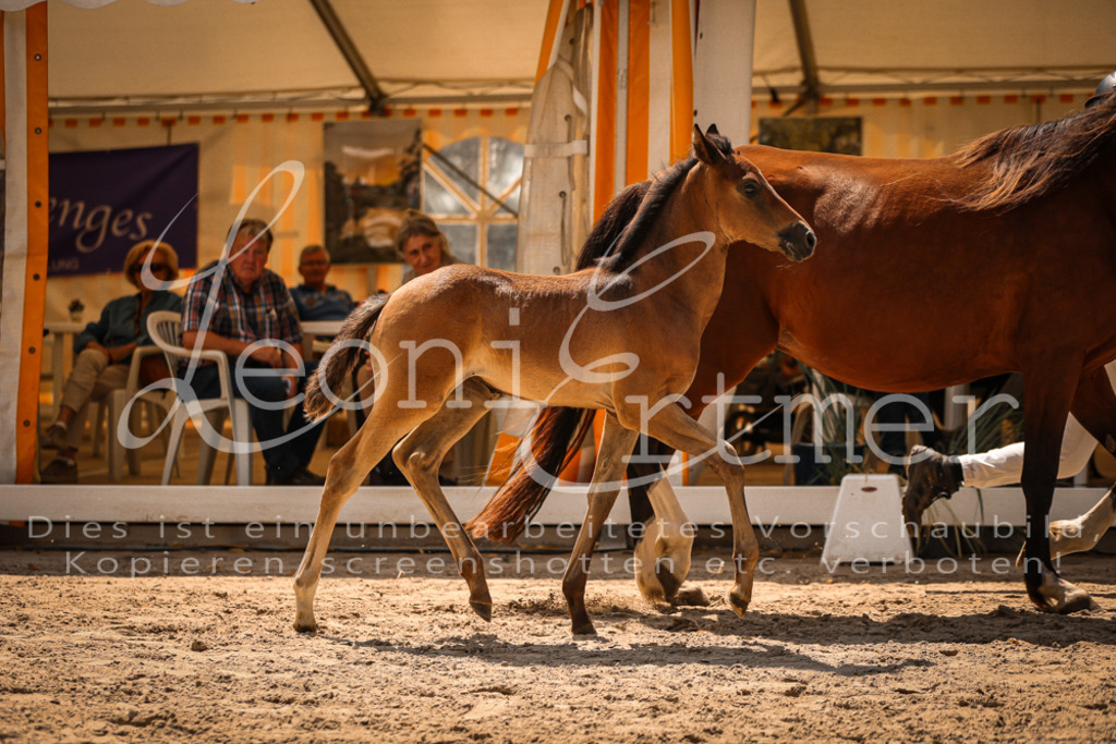 03.DoAB00018 | Leoni Ertmer Photography - Realisiert mit Pictrs.com