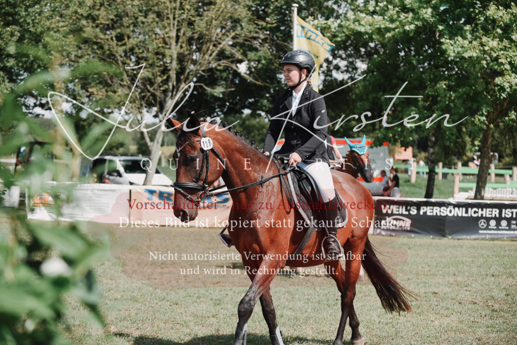 DSC_5740 | Pferde- und Turnierfotografie in Westsachsen. Pferdeportraits, Auftragszeichnungen und intuitive Kunst.