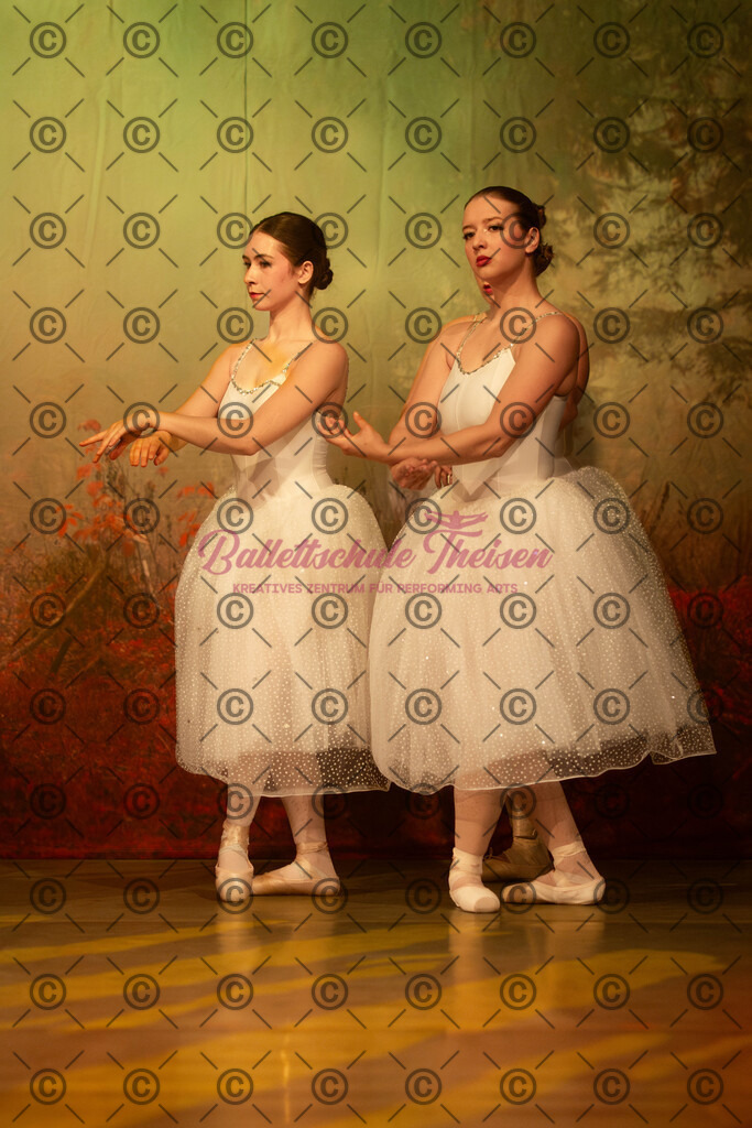 Ballettaufführung-1363 | Bildershop Lem'n Entertainment - Realisiert mit Pictrs.com