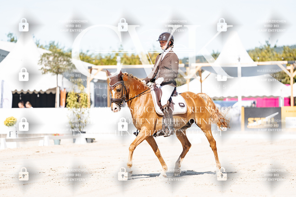 CK909003 | Turnierfotografie Pferdefotografie Trier Rheinland-Pfalz Pferdesport Reitsport Tierfotografie Sportfotografie Pferdevideo Pferdevideografie Equestrianvideography equestrianphotography  - Realisiert mit Pictrs.com