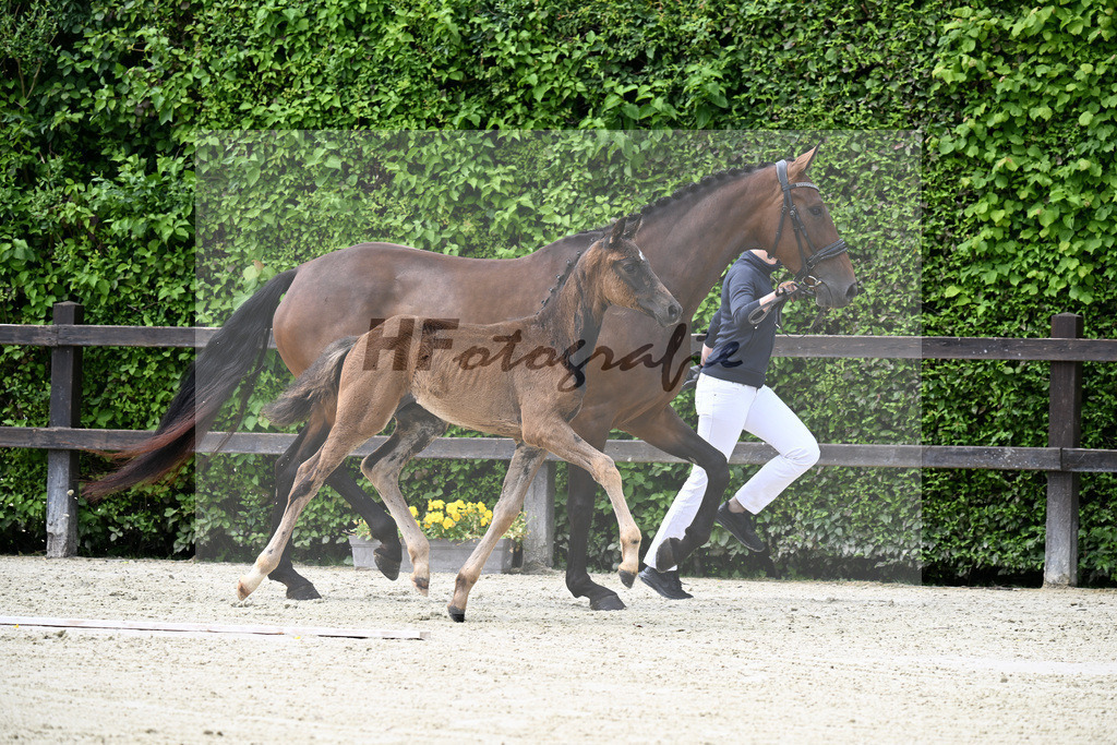 Kat-Nr. 4 Bonhoeffer x Danone_Zweckl_25240212 | hf-fotografie - Realisiert mit Pictrs.com