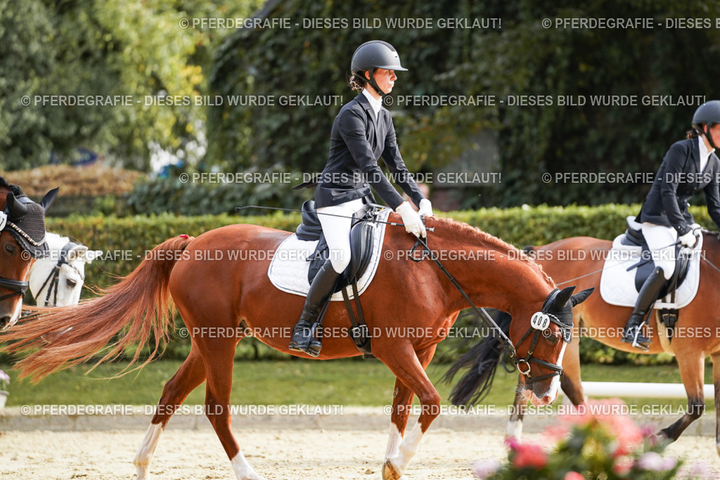 DSC04715 | Pferdegrafie