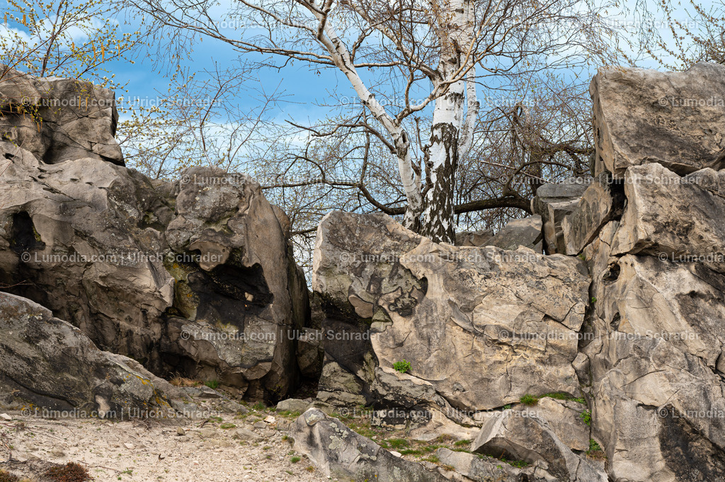 10049-13195 - Warnstedt - Papensteine | Stockfoto und Bilderpool mit Bildmaterial aus Deutschland, dem Harz, Halberstadt, Quedlinburg, Wernigerode und weltweit. Qualitativ hochwertige und professionelle Fotos anschauen und kaufen. - Realisiert mit Pictrs.com