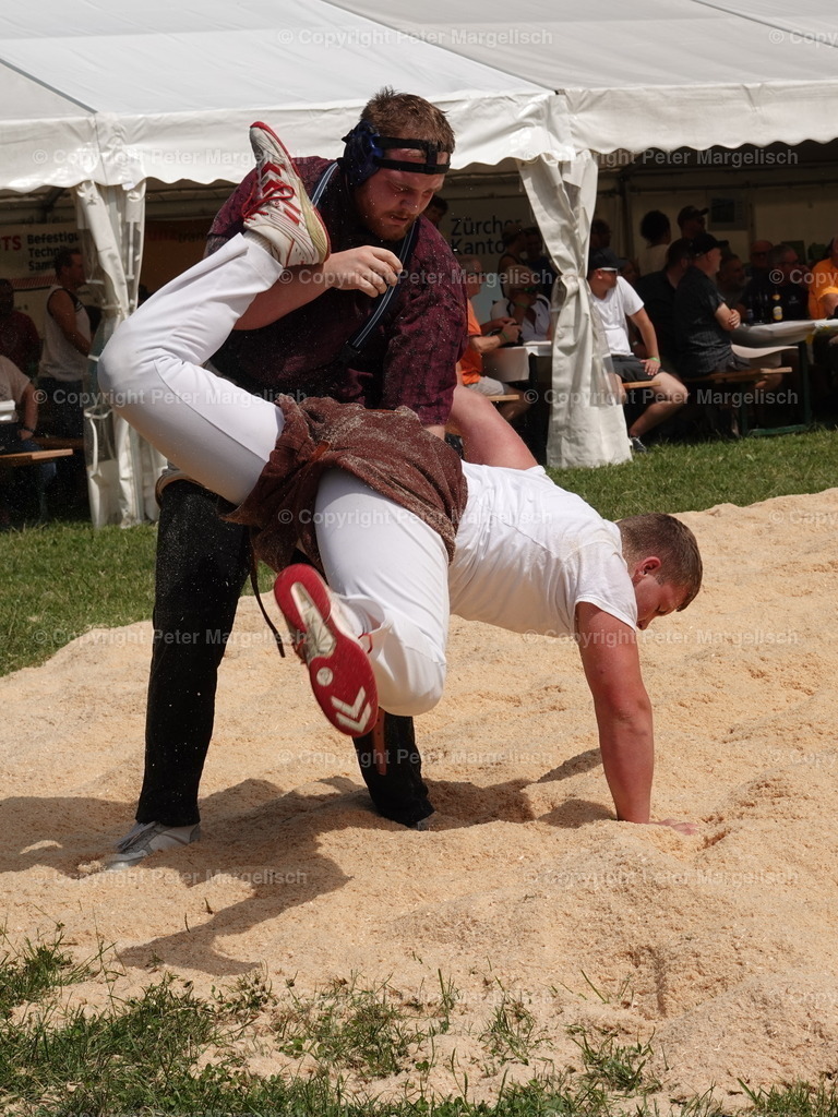 DSC05114 | Schwingen - Realisiert mit Pictrs.com